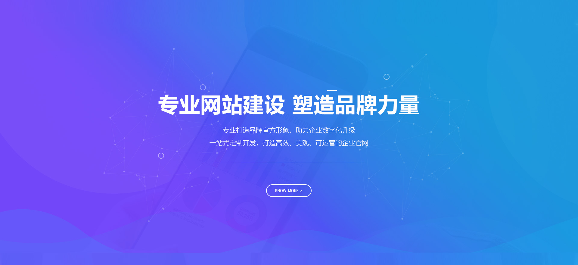 普洱建站-专业网站建设 塑造品牌力量