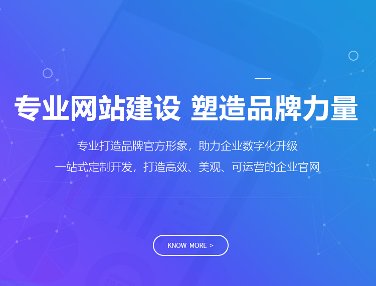 普洱建站-专业网站建设 塑造品牌力量